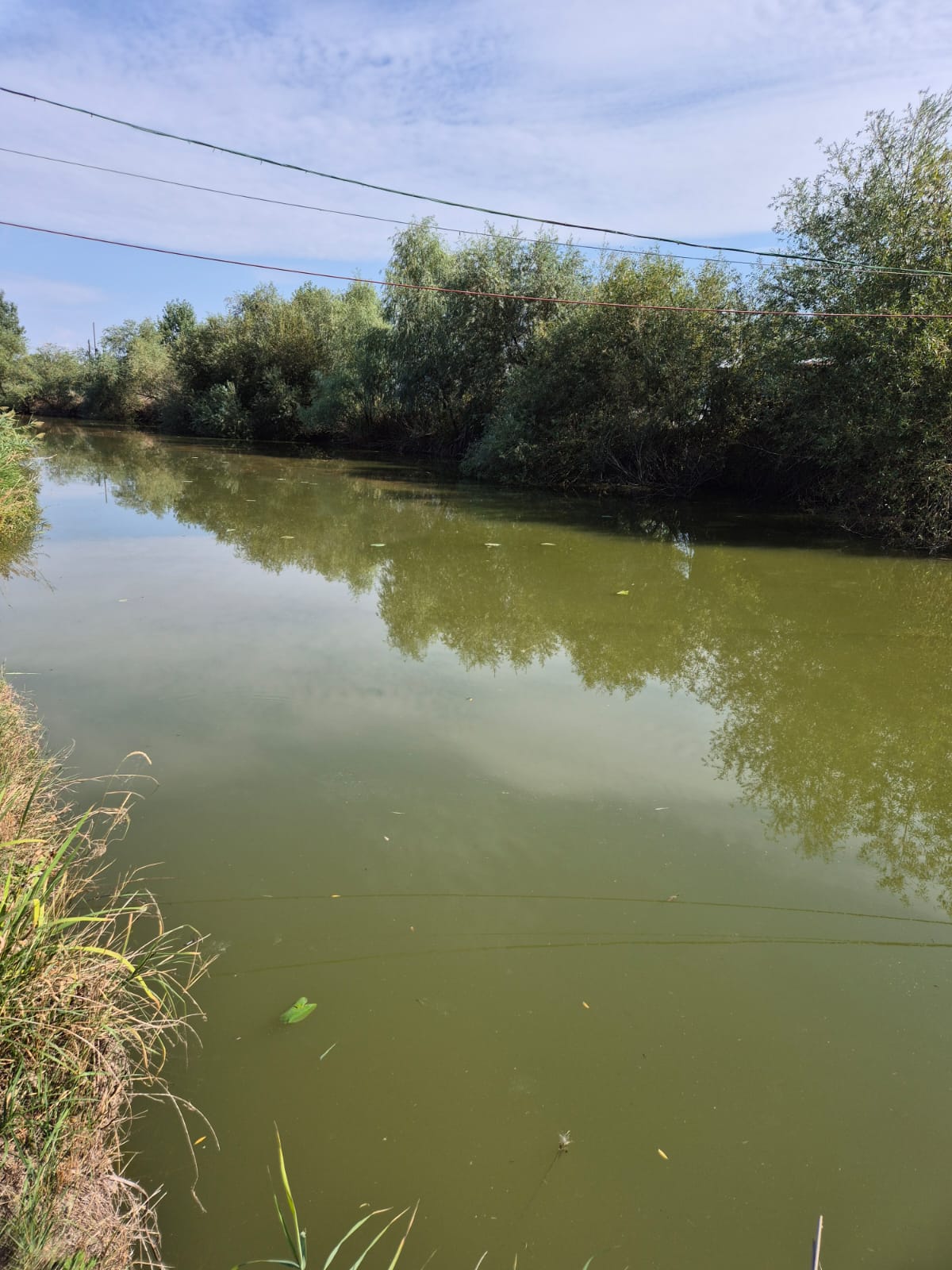 Natura înconjurătoare